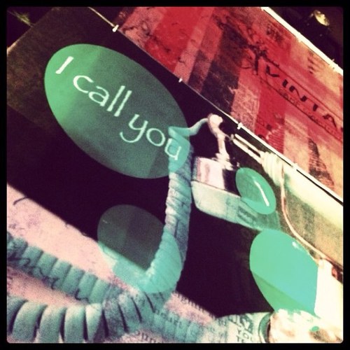 zebra1238's profile picture. 