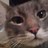 Lila_64's profile image