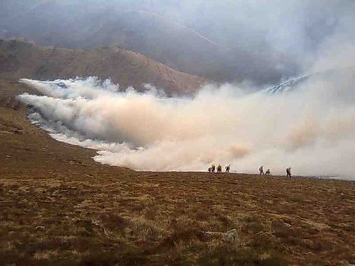 SantiagoForesta's profile picture. 