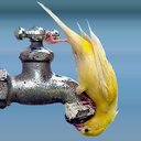 الصقع تبروري (@0926543127z_) Twitter