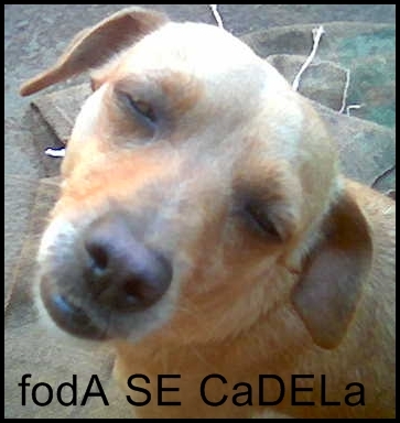 Foda se cadela.