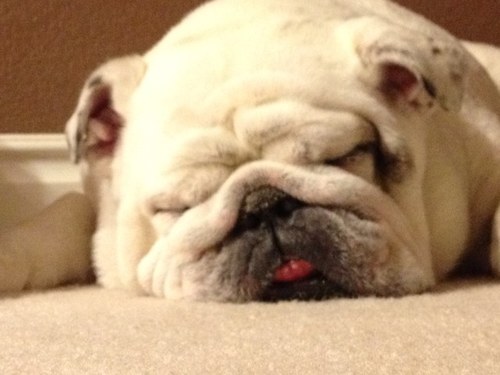 Auavam's profile picture. 