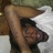 damftruth (@teambarnet) 's Twitter Profile
