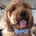 Kurt Stanton - @Kurt_Stanton - Twitter