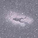 Todd Dailey - @TreeTodd - Twitter