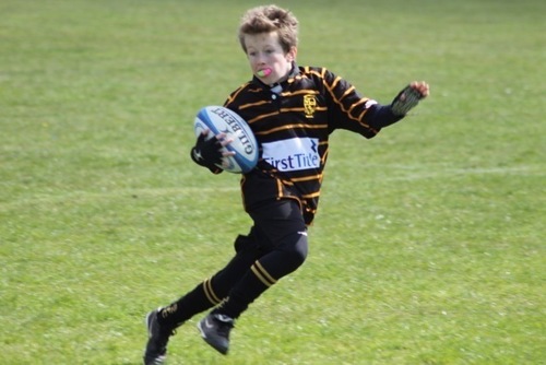 Tommy armani Clearance