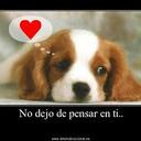 marcial quispe y. (@05quispe03) Twitter