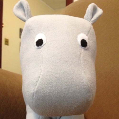 CoppinEdwards's profile picture. I make things out of fabric and bytes (but not at the same time).