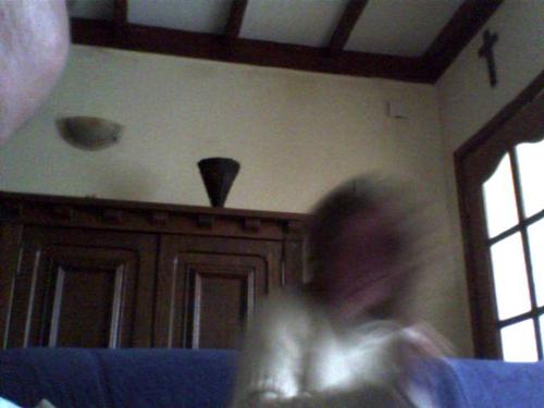 PRpartner's profile picture. PR as a passion