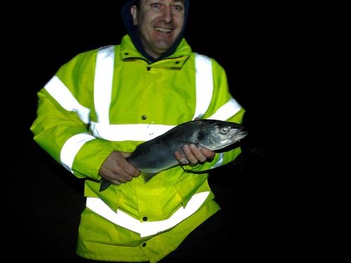 pumpnpuddin's profile picture. 