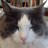 mh_fisch's profile image