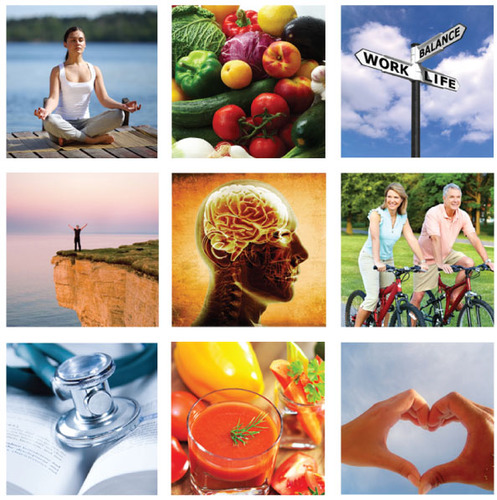 The Gawler Foundation's annual Profound Healing - Sustainable Wellbeing Conference on 23-24 November 2013, Melbourne