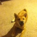 aj john barron - @aj_barron - Twitter