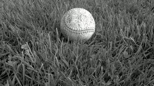 For softball playing girls who can't help but grab the ball, bat, and glove and join the game. Also baseball boys. Email: saysoftball@gmail.com