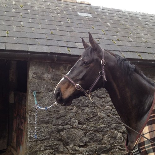 heatherparksl's profile picture. 