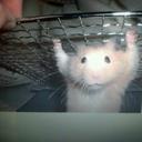 Michael Catton - @Michael__Catton - Twitter