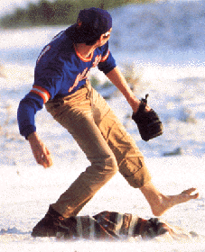 SiddFinch21's profile picture. Baseball fan who loves the game......Loves Detroit Sports....WMU alum. ...Go Broncos....Former Teacher/Basketball Coach........Carer of People