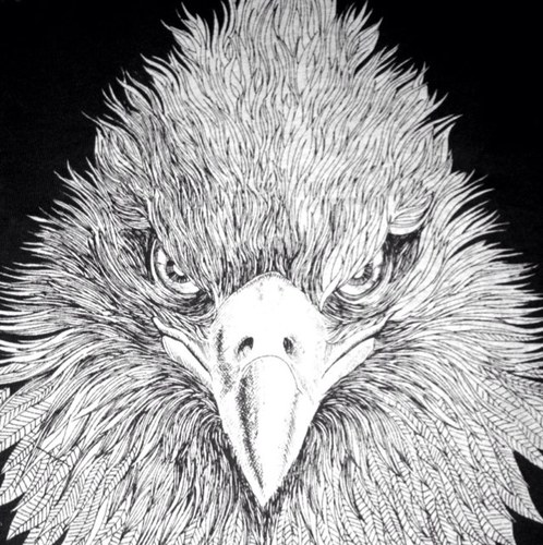 MahmoudQar's profile picture. 