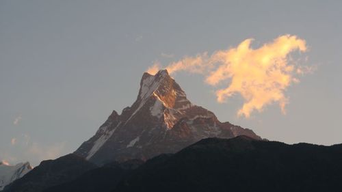 RunForThe_Hills's profile picture. 