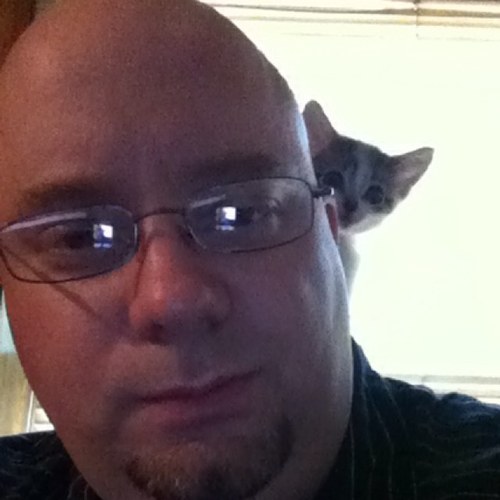 oddlyken's profile picture. 