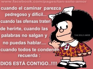 CARLUCIA54's profile picture. 