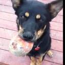 Debbie Ham - @gingerface89 - Twitter