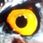 coquigp's profile image