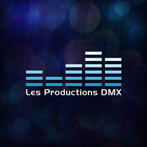 Sonorisation, Éclairage, Multimédia et Animation