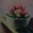 VickysNails's profile image