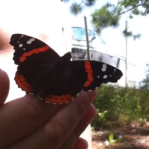 wcmlutz's profile picture. music, NBA (bucks), and technology