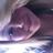 ChelsieCrump's profile image