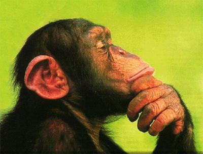 pepesanchez21's profile picture. el hombre nuevo