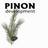 p1non's profile image