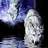 Wolffiend's profile image