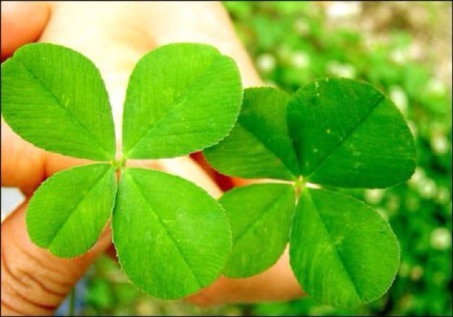 goyh1008's profile picture. 먹은 콜라겐 바르는 콜라겐 우리몸엔 단백질 최고...