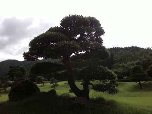pulwon89338933 Profile Picture