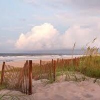 jaxbeachbuzz (@jaxbeachbuzz) 's Twitter Profile