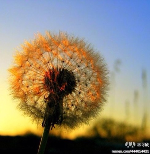 wangrui95's profile picture. 