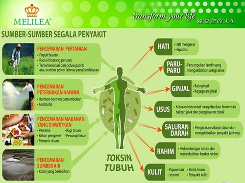 NPoerwo's profile picture. 