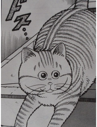 徳島はな、なーんでもスダチじゃ！ほなけんな、みーんな元気じゃ。