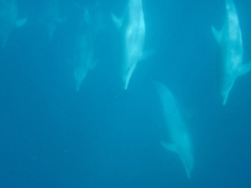 Duanestacey's profile picture. Passionate traveller and story teller. Where ever you go becomes part of who you are!