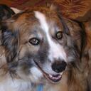 Don Mays - @dmHusker - Twitter