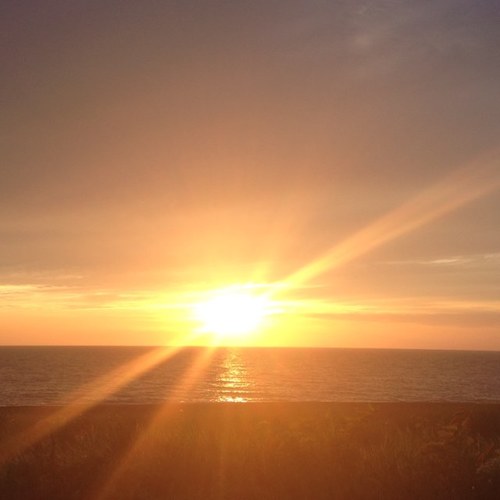 shio0107mon's profile picture. 