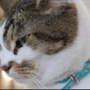 jade weller - @weller_jade - Twitter