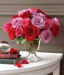 allseego's profile picture. 사람 소통 소중한 만남