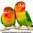 GreatAdvice's profile image