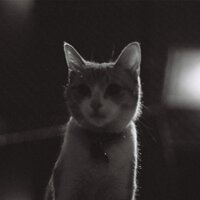 Sam Pilling (@sampling45) 's Twitter Profile