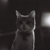 Sam Pilling (@sampling45) Twitter profile photo Sam Pilling (@sampling45) Twitter profile photo