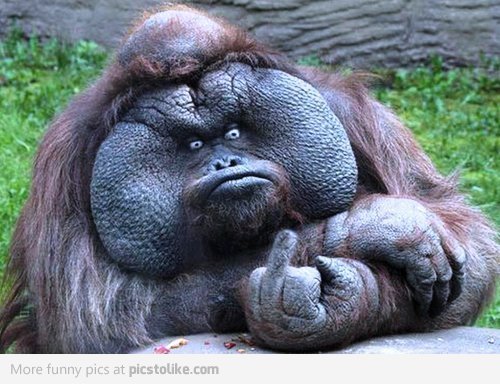 hiddeKm's profile picture. GOMOS C3/EEN/NORG