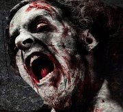 Bronx Haunted Warehouse is the biggest Halloween attraction in the BX & Westchester area. 1157 commerce ave, Bronx. FB: http://t.co/VTNgDZNTHr